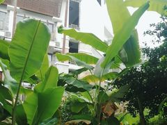 -天芳悦潭度假村温泉