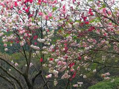 -云龙湖旅游景区