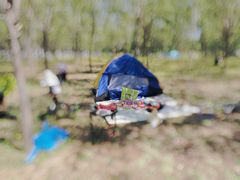 -东郊湿地公园