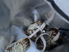 -阳澄湖大闸蟹·琼灵阁牌品牌连锁(吴中总店)