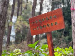 -寂照庵