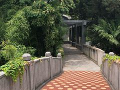 -菊花台公园