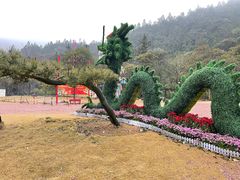 -姑婆山旅游区