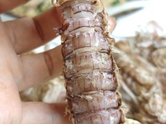 -宾朋海鲜特色美食餐厅·纯手工鲅鱼水饺(兴海路店)