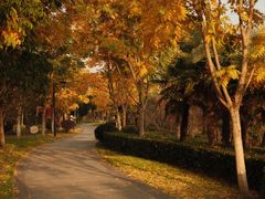 -狼山风景名胜区