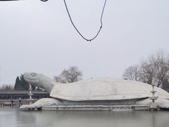 -东方巨龟苑景区