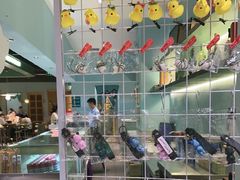 -春润大地海南椰子鸡(沙井京基百纳广场店)