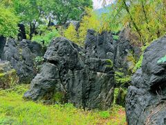 -玉石林风景区