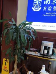 -南京医科大学友谊整形外科医院