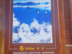 -碧塔海