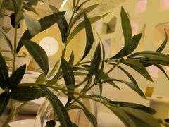 大堂-伊斯坦布尔土耳其清真咖啡餐厅