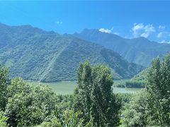 -黑河国家森林公园