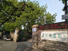 -嘉定紫藤园
