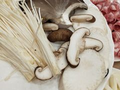 -盛元盛居传统炭火锅(绿园店)