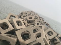 -东疆建设开发纪念公园