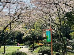 -中国茶叶博物馆(双峰馆区)