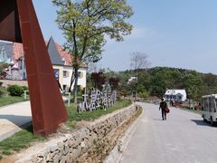 -大塘金香草谷