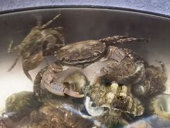 -东戴河风景区-止锚湾