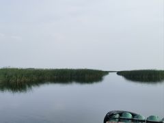 -微山湖红荷湿地景区