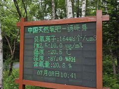 -汤旺河林海奇石景区