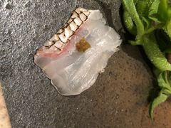 -橼舍鮨青木