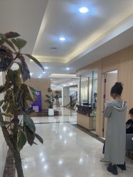 -上海伊莱美医疗美容医院