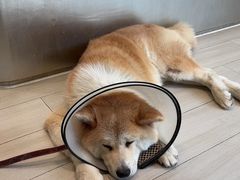 -YCHL Studios健身工作室(市二宫店)