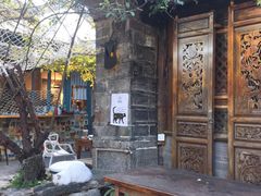 -喵屿·大理花园猫咖