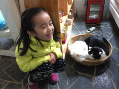 Anne猫窝咖啡屋-Anne猫窝咖啡屋