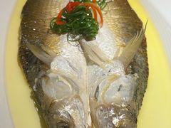 鸡汁野生大白条-外婆家(杭州马塍店)