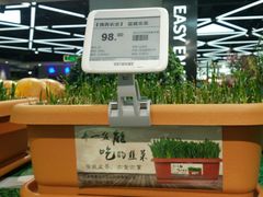 蔬菜-盒马鲜生(大成店)