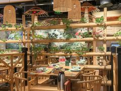 -椰夫人·养生椰子鸡(金沙洲永旺店)