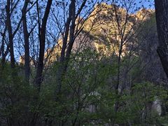 -大岭沟猕猴桃谷风景区