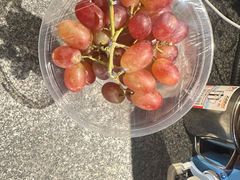-绿叶水果(长沙蔡锷路店)