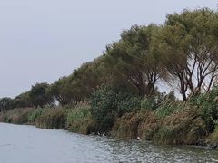 -漕湖湿地公园