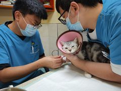 -动物缘宠物医院·骨科·猫科(西二环店)