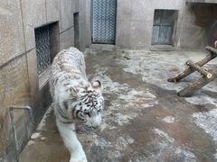 -西安秦岭野生动物园