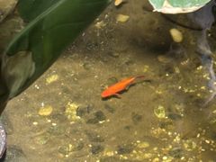 -邈墨茶馆(凤起路店)