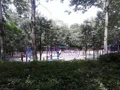 游乐设施-西安市长乐公园