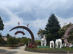 -贵州森林野生动物园