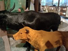 -福满我家大碗厨·湘菜(上海大厦店)