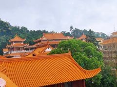 -深圳仙湖植物园