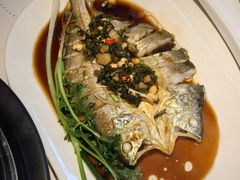 -苏大嘴蒸汽海鲜·海胆蒸饺(中山广场店)