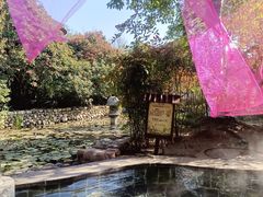 -观唐（国际）度假村温泉