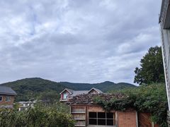 -北马山庄植趣咖啡
