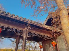 -高子水居