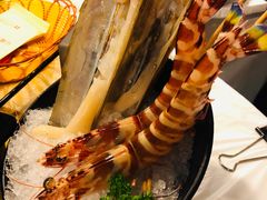 九节虾，象拔蚌-鲜入围煮花胶鸡海鲜火锅