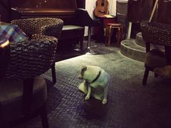 -小岛98(小岛酒吧)