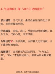 点击看大图 -玛莲朵·海菲秀冰珀科