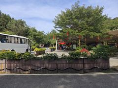 -广州白江湖森林公园